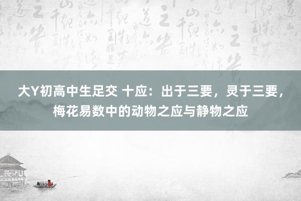 大Y初高中生足交 十应：出于三要，灵于三要，梅花易数中的动物之应与静物之应