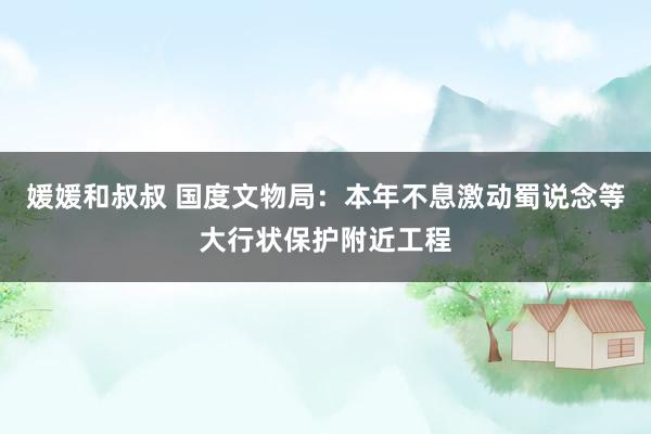 媛媛和叔叔 国度文物局：本年不息激动蜀说念等大行状保护附近工程