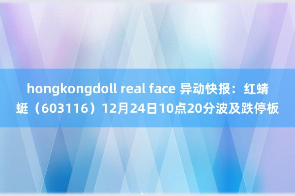 hongkongdoll real face 异动快报：红蜻蜓（603116）12月24日10点20分波及跌停板