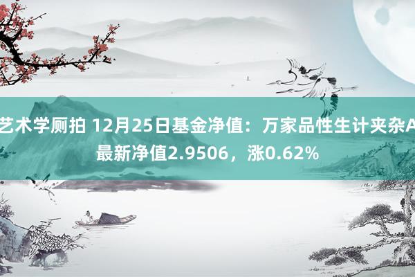 艺术学厕拍 12月25日基金净值：万家品性生计夹杂A最新净值2.9506，涨0.62%