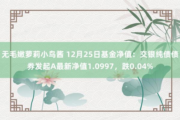 无毛嫩萝莉小鸟酱 12月25日基金净值：交银纯债债券发起A最新净值1.0997，跌0.04%