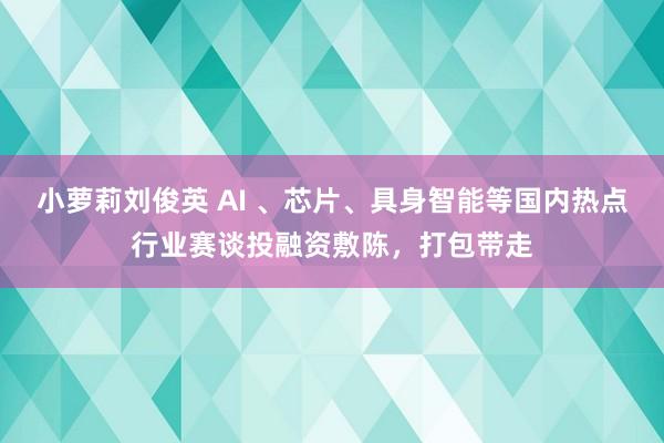 小萝莉刘俊英 AI 、芯片、具身智能等国内热点行业赛谈投融资敷陈，打包带走