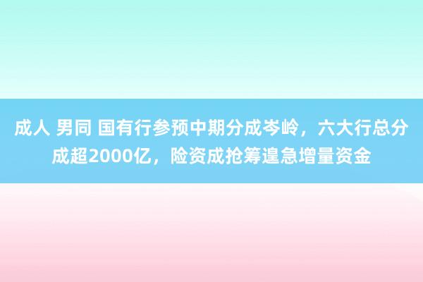 成人 男同 国有行参预中期分成岑岭，六大行总分成超2000亿，险资成抢筹遑急增量资金