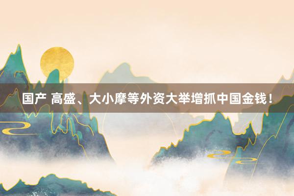 国产 高盛、大小摩等外资大举增抓中国金钱！