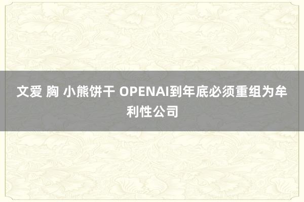 文爱 胸 小熊饼干 OPENAI到年底必须重组为牟利性公司