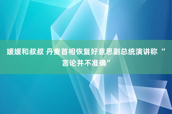媛媛和叔叔 丹麦首相恢复好意思副总统演讲称 “言论并不准确”
