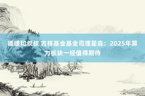 媛媛和叔叔 吉祥基金基金司理翟森：2025年算力板块一经值得期待