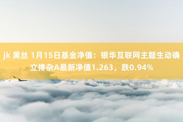 jk 黑丝 1月15日基金净值：银华互联网主题生动确立搀杂A最新净值1.263，跌0.94%