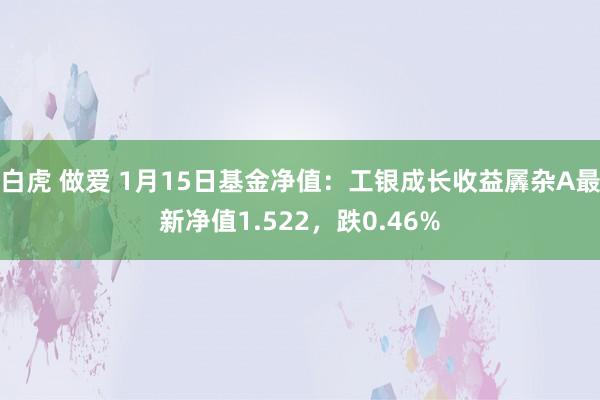 白虎 做爱 1月15日基金净值：工银成长收益羼杂A最新净值1.522，跌0.46%
