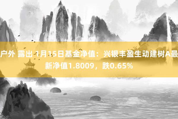 户外 露出 1月15日基金净值：兴银丰盈生动建树A最新净值1.8009，跌0.65%