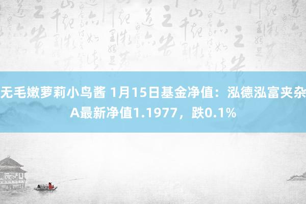 无毛嫩萝莉小鸟酱 1月15日基金净值：泓德泓富夹杂A最新净值1.1977，跌0.1%