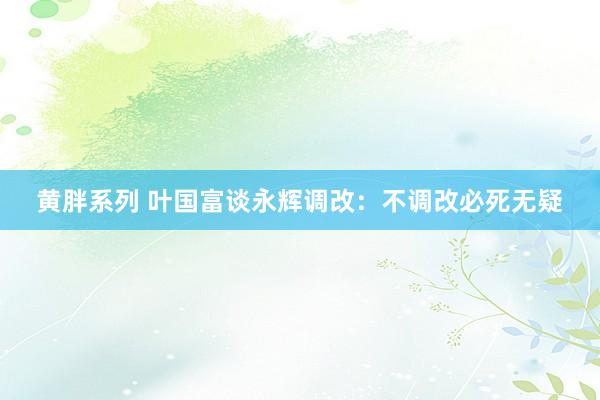 黄胖系列 叶国富谈永辉调改：不调改必死无疑