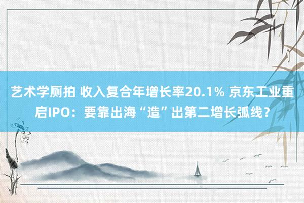 艺术学厕拍 收入复合年增长率20.1% 京东工业重启IPO：要靠出海“造”出第二增长弧线？