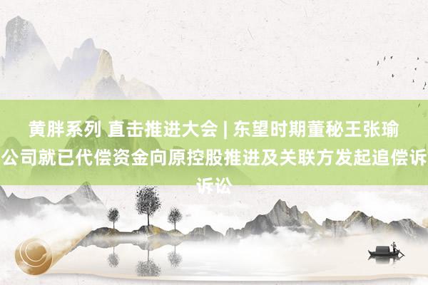 黄胖系列 直击推进大会 | 东望时期董秘王张瑜：公司就已代偿资金向原控股推进及关联方发起追偿诉讼