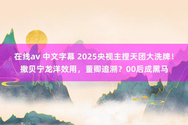 在线av 中文字幕 2025央视主捏天团大洗牌！撒贝宁龙洋效用，董卿追溯？00后成黑马
