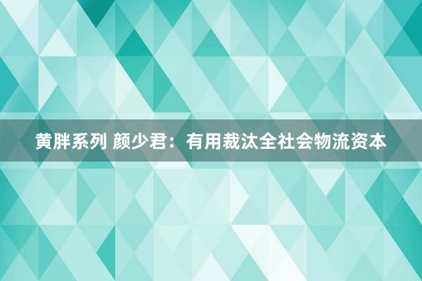 黄胖系列 颜少君：有用裁汰全社会物流资本