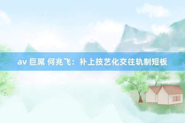 av 巨屌 何兆飞：补上技艺化交往轨制短板