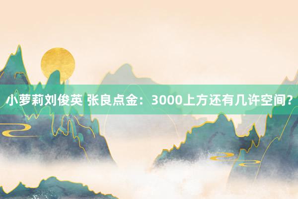 小萝莉刘俊英 张良点金：3000上方还有几许空间？