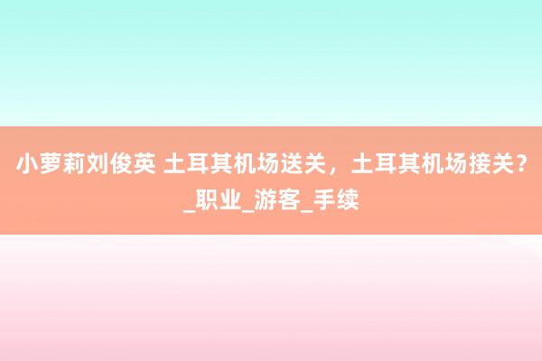 小萝莉刘俊英 土耳其机场送关，土耳其机场接关？_职业_游客_手续