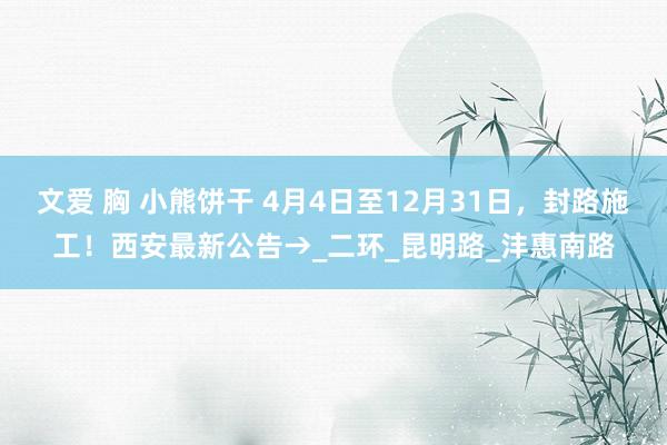 文爱 胸 小熊饼干 4月4日至12月31日，封路施工！西安最新公告→_二环_昆明路_沣惠南路