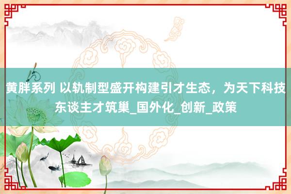 黄胖系列 以轨制型盛开构建引才生态，为天下科技东谈主才筑巢_国外化_创新_政策
