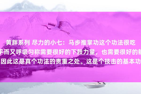 黄胖系列 尽力的小七：马步推掌功这个功法很吃功夫，思把马步大腿抬平而又呼吸匀称需要很好的下肢力量，也需要很好的躯壳协作性，也因此这是真个功法的贵重之处。这是个技击的基本功功法，这是个健身很好的要道，每天认...