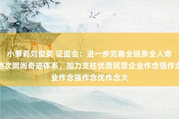 小萝莉刘俊英 证监会：进一步完善全链条全人命周期的多档次阛阓奇迹体系，加力支柱优质民营企业作念强作念优作念大