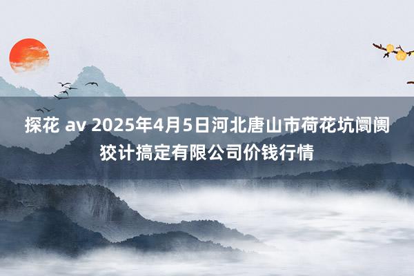 探花 av 2025年4月5日河北唐山市荷花坑阛阓狡计搞定有限公司价钱行情