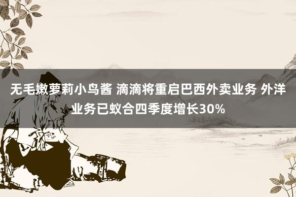 无毛嫩萝莉小鸟酱 滴滴将重启巴西外卖业务 外洋业务已蚁合四季度增长30%