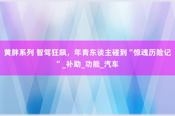 黄胖系列 智驾狂飙，年青东谈主碰到“惊魂历险记”_补助_功能_汽车