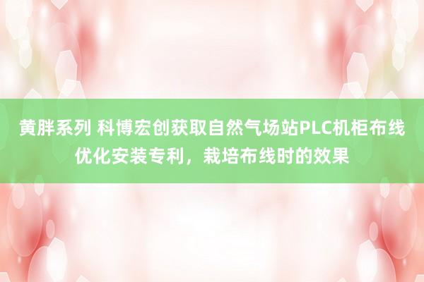 黄胖系列 科博宏创获取自然气场站PLC机柜布线优化安装专利，栽培布线时的效果