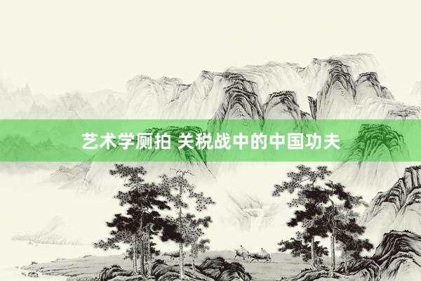 艺术学厕拍 关税战中的中国功夫