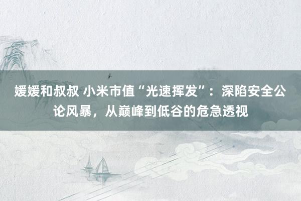 媛媛和叔叔 小米市值“光速挥发”：深陷安全公论风暴，从巅峰到低谷的危急透视