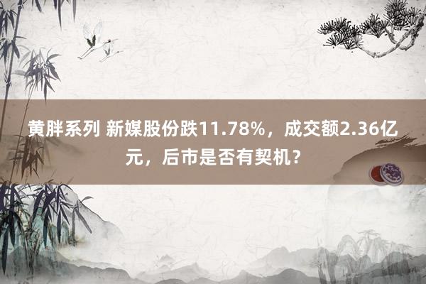 黄胖系列 新媒股份跌11.78%，成交额2.36亿元，后市是否有契机？