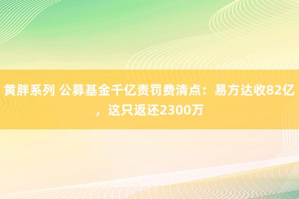 黄胖系列 公募基金千亿责罚费清点：易方达收82亿，这只返还2300万