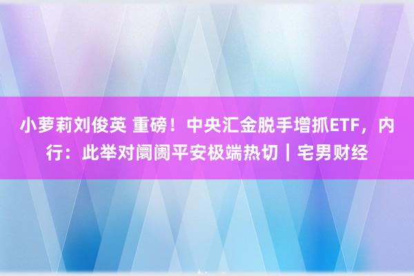 小萝莉刘俊英 重磅！中央汇金脱手增抓ETF，内行：此举对阛阓平安极端热切｜宅男财经