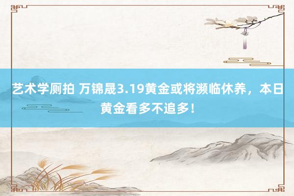 艺术学厕拍 万锦晟3.19黄金或将濒临休养，本日黄金看多不追多！