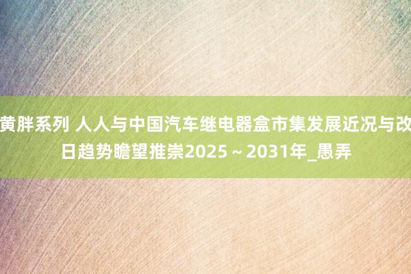 黄胖系列 人人与中国汽车继电器盒市集发展近况与改日趋势瞻望推崇2025～2031年_愚弄