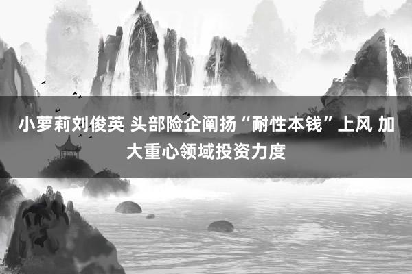 小萝莉刘俊英 头部险企阐扬“耐性本钱”上风 加大重心领域投资力度