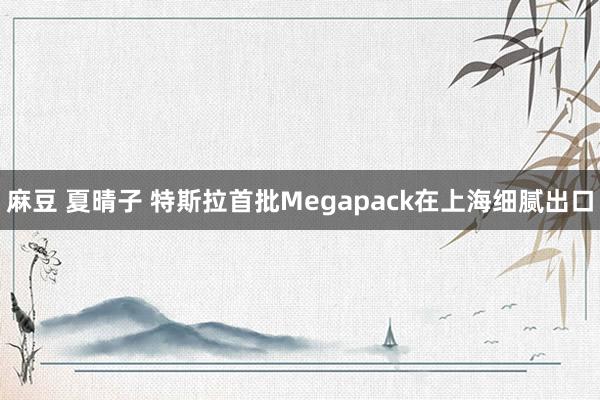 麻豆 夏晴子 特斯拉首批Megapack在上海细腻出口