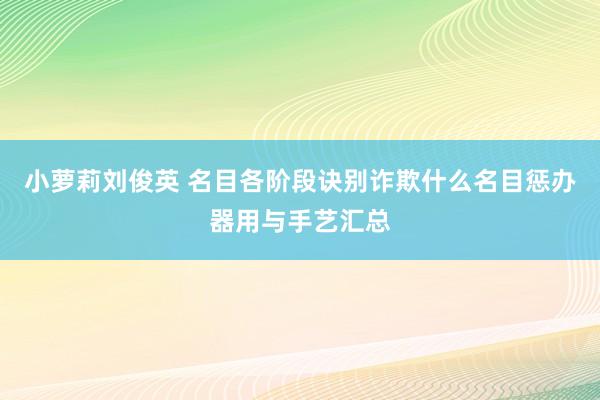 小萝莉刘俊英 名目各阶段诀别诈欺什么名目惩办器用与手艺汇总