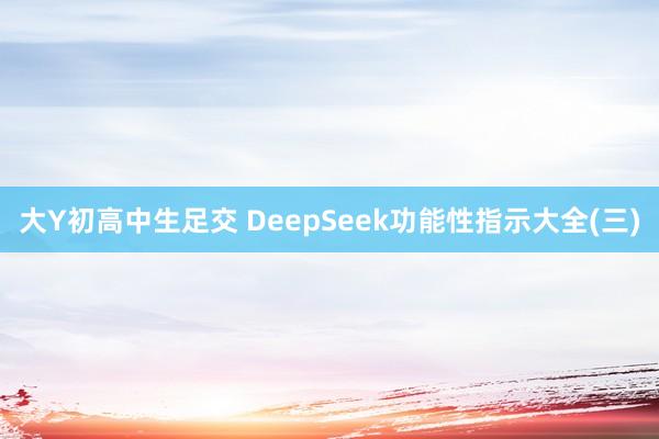 大Y初高中生足交 DeepSeek功能性指示大全(三)