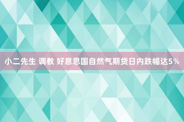 小二先生 调教 好意思国自然气期货日内跌幅达5%