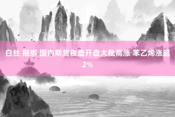 白丝 捆绑 国内期货夜盘开盘大批高涨 苯乙烯涨超2%