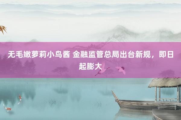 无毛嫩萝莉小鸟酱 金融监管总局出台新规，即日起膨大