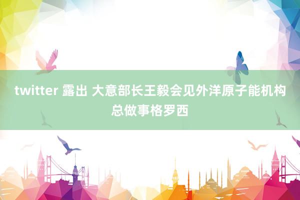 twitter 露出 大意部长王毅会见外洋原子能机构总做事格罗西