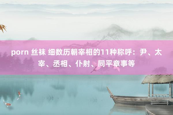 porn 丝袜 细数历朝宰相的11种称呼：尹、太宰、丞相、仆射、同平章事等