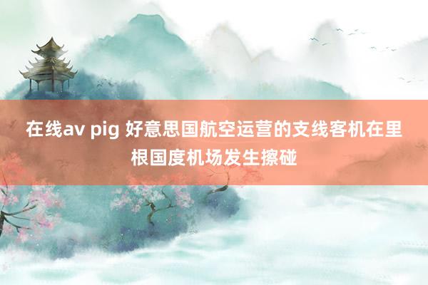 在线av pig 好意思国航空运营的支线客机在里根国度机场发生擦碰