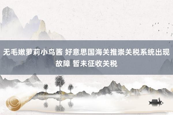无毛嫩萝莉小鸟酱 好意思国海关推崇关税系统出现故障 暂未征收关税