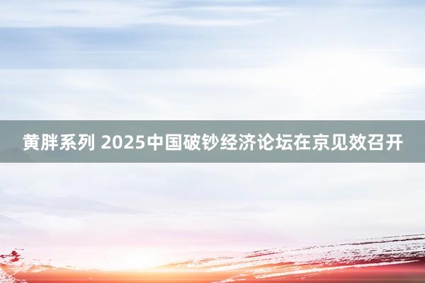 黄胖系列 2025中国破钞经济论坛在京见效召开